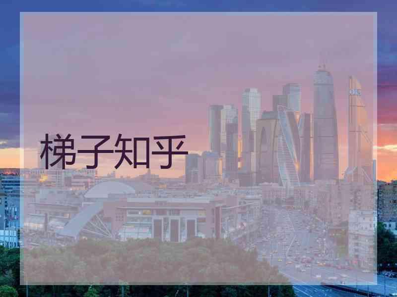 梯子知乎