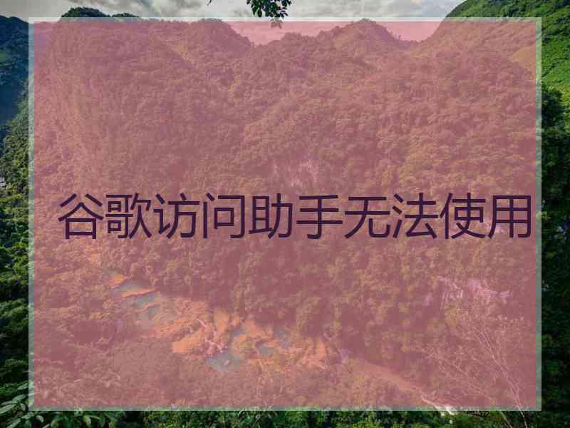 谷歌访问助手无法使用