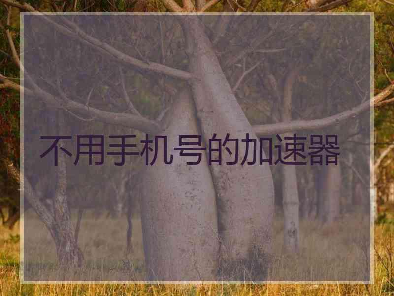 不用手机号的加速器
