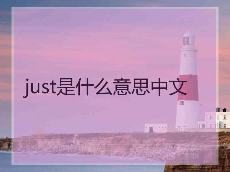 just是什么意思中文