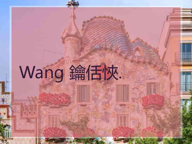 Wang 鑰佸悏.