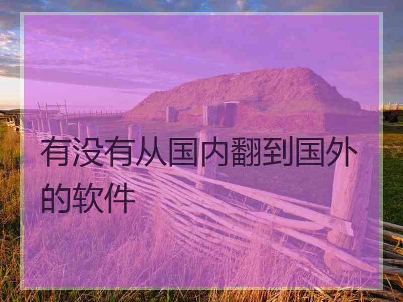 有没有从国内翻到国外的软件