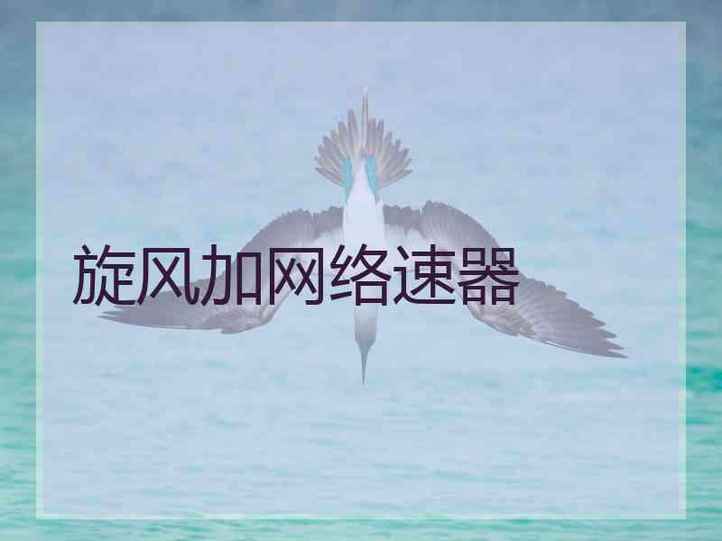 旋风加网络速器