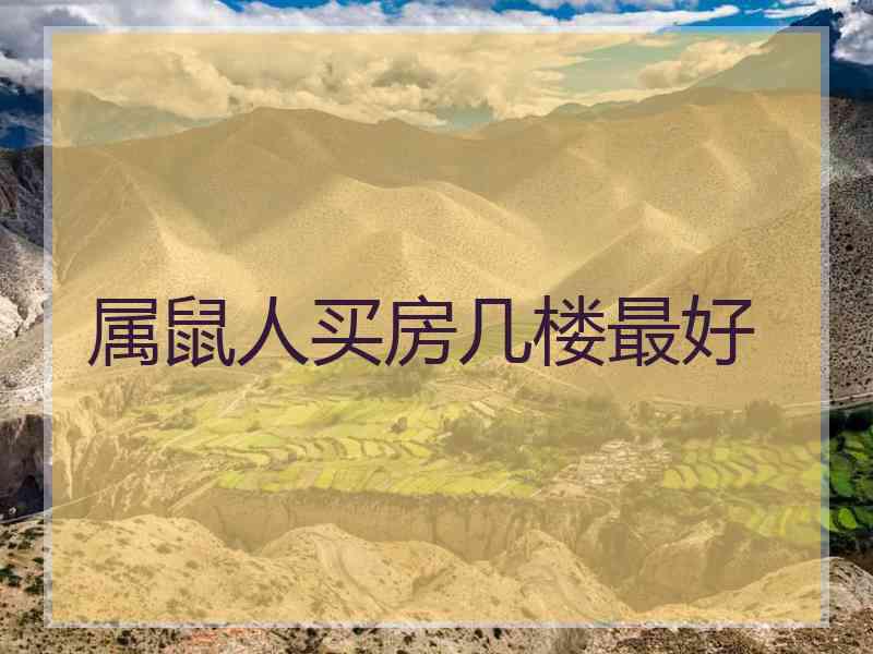 属鼠人买房几楼最好