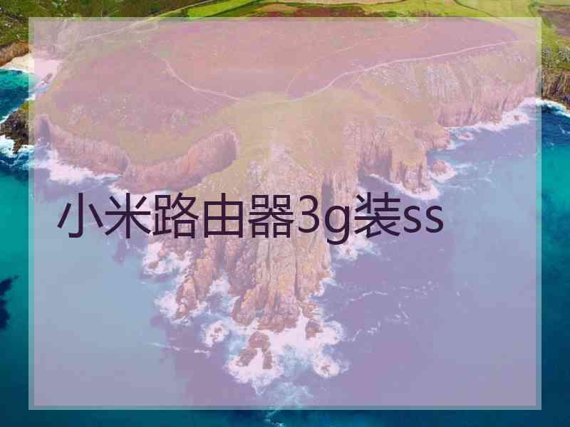 小米路由器3g装ss
