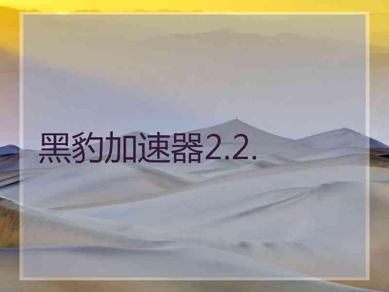 黑豹加速器2.2.