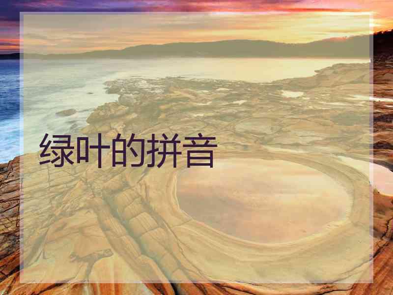 绿叶的拼音