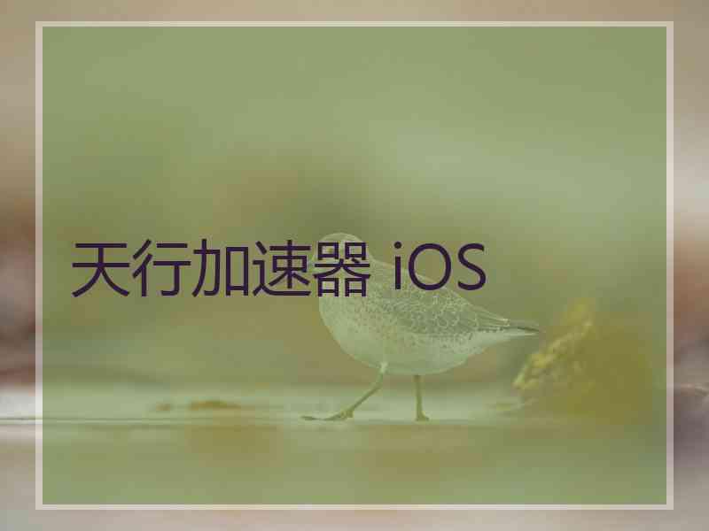 天行加速器 iOS