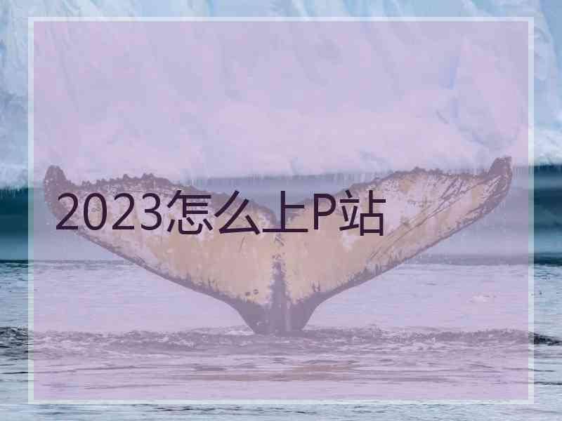 2023怎么上P站