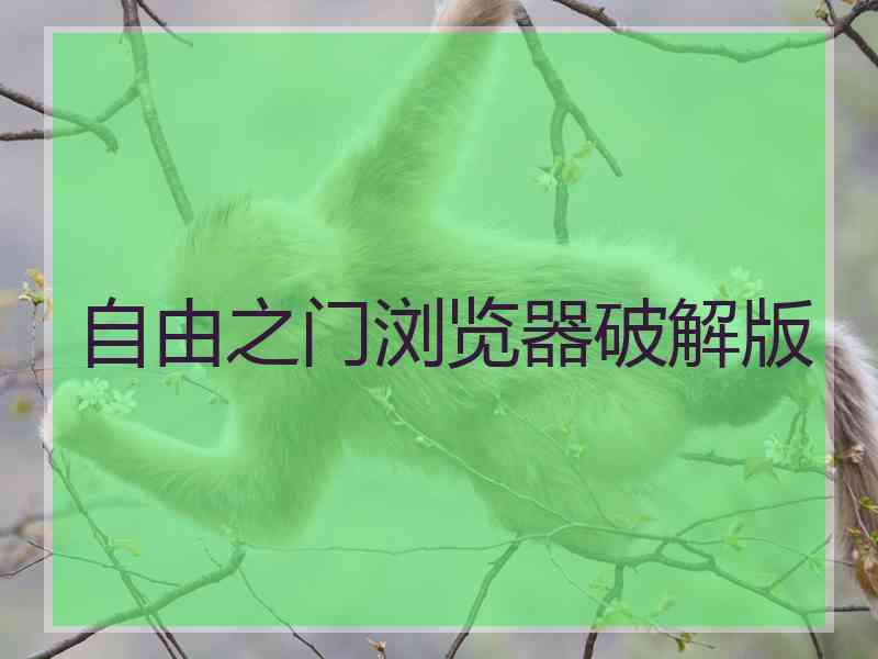 自由之门浏览器破解版