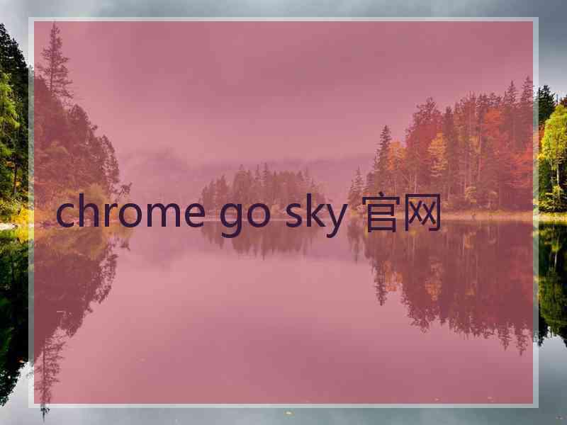 chrome go sky 官网