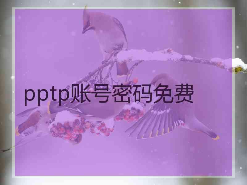 pptp账号密码免费