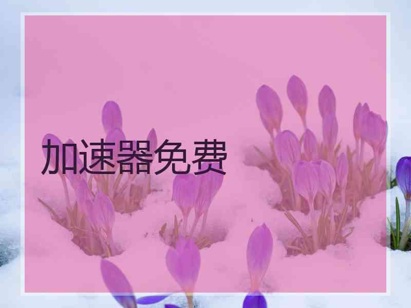 加速器免费