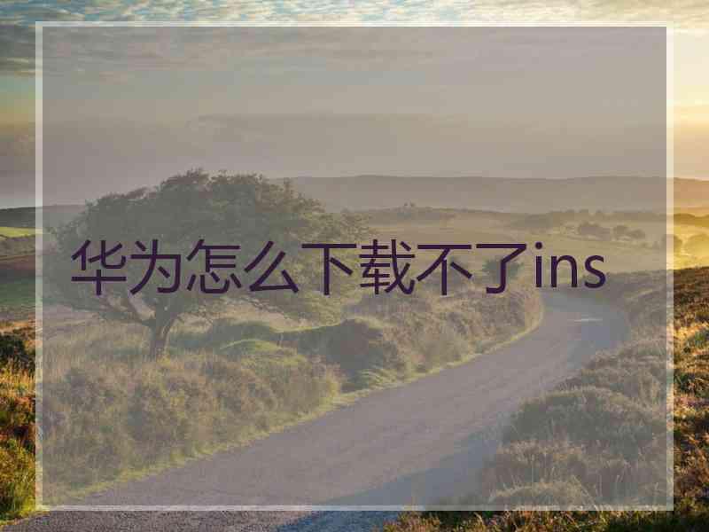 华为怎么下载不了ins