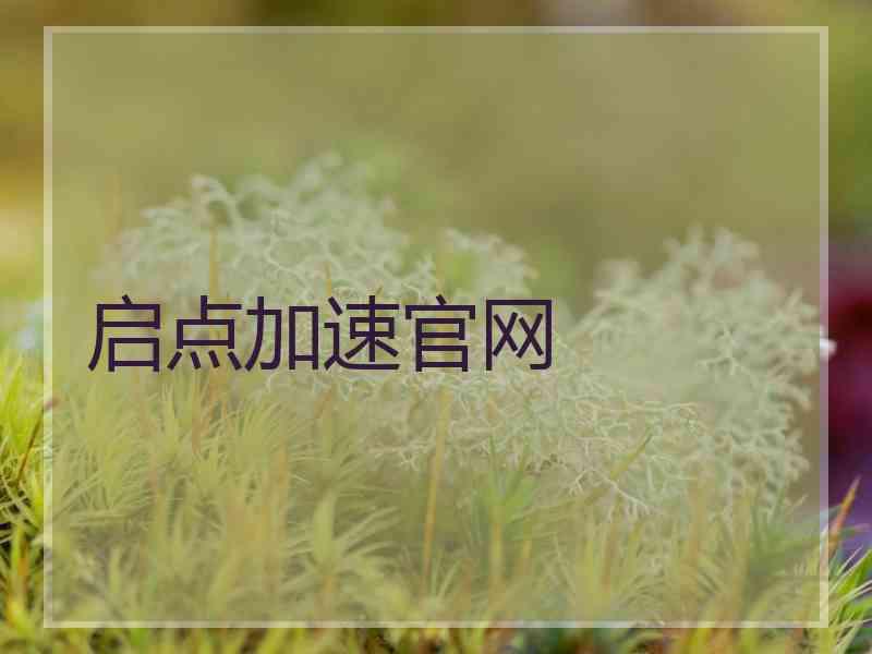 启点加速官网