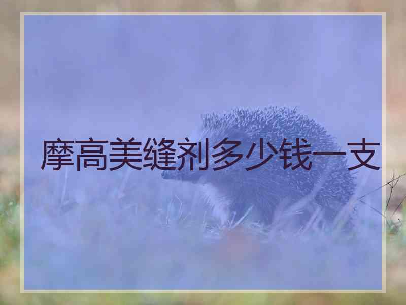 摩高美缝剂多少钱一支