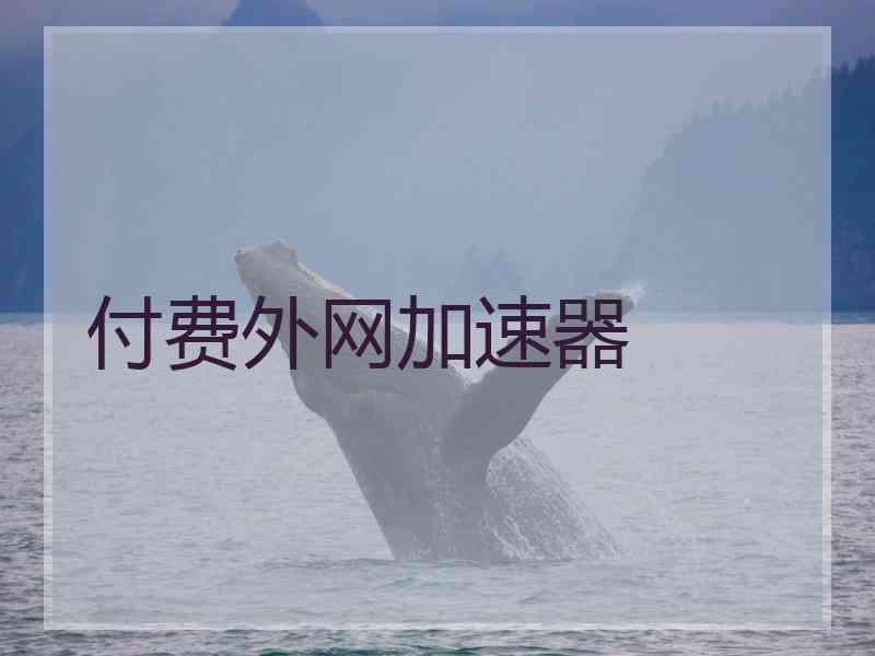 付费外网加速器