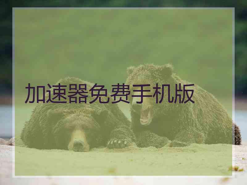 加速器免费手机版