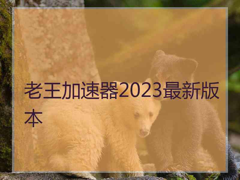 老王加速器2023最新版本