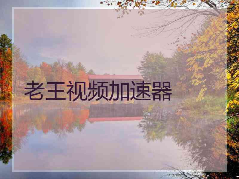 老王视频加速器