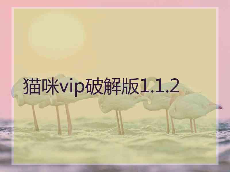 猫咪vip破解版1.1.2