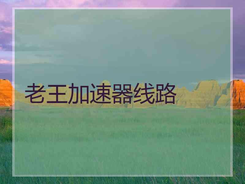 老王加速器线路