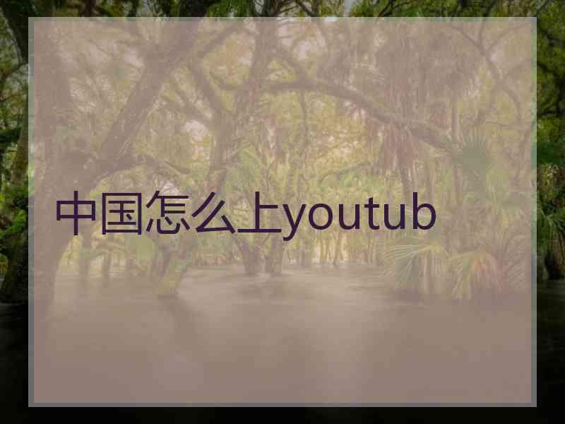 中国怎么上youtub