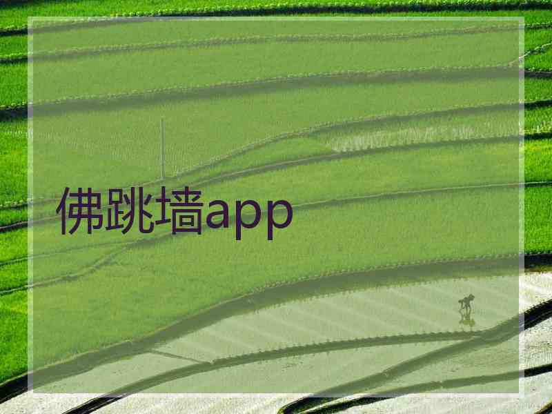 佛跳墙app
