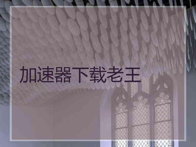 加速器下载老王
