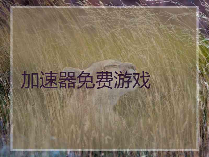 加速器免费游戏