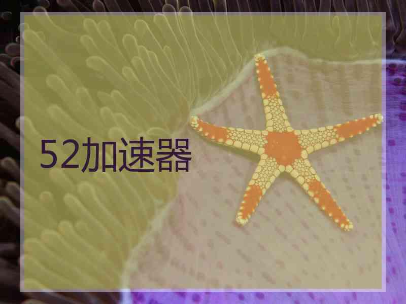 52加速器
