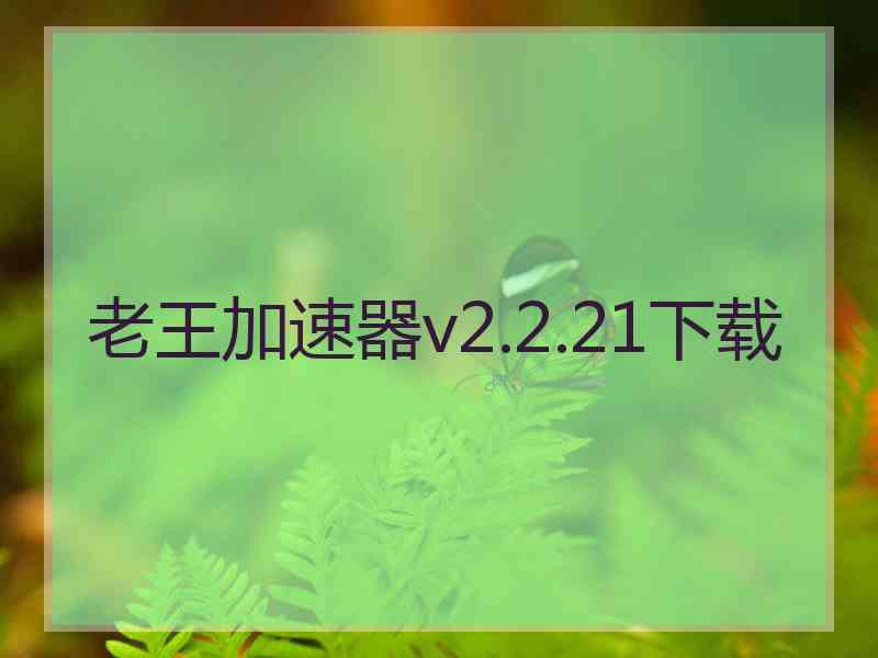 老王加速器v2.2.21下载