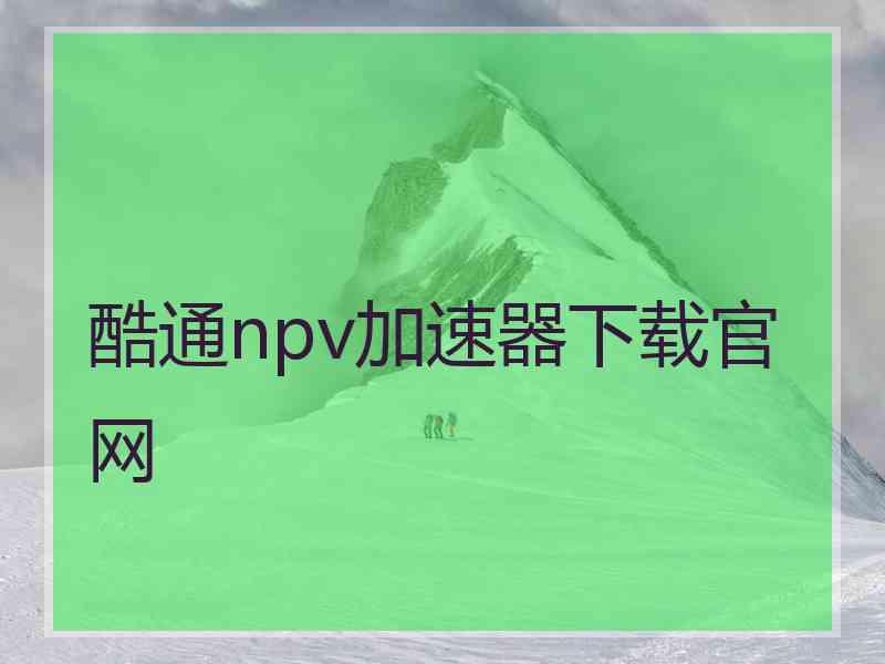 酷通npv加速器下载官网