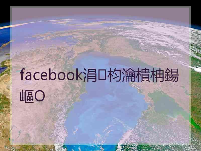 facebook涓枃瀹樻柟鍚嶇О