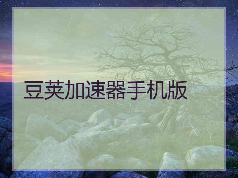 豆荚加速器手机版