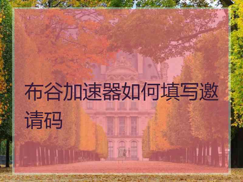 布谷加速器如何填写邀请码