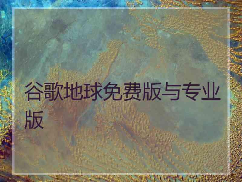 谷歌地球免费版与专业版