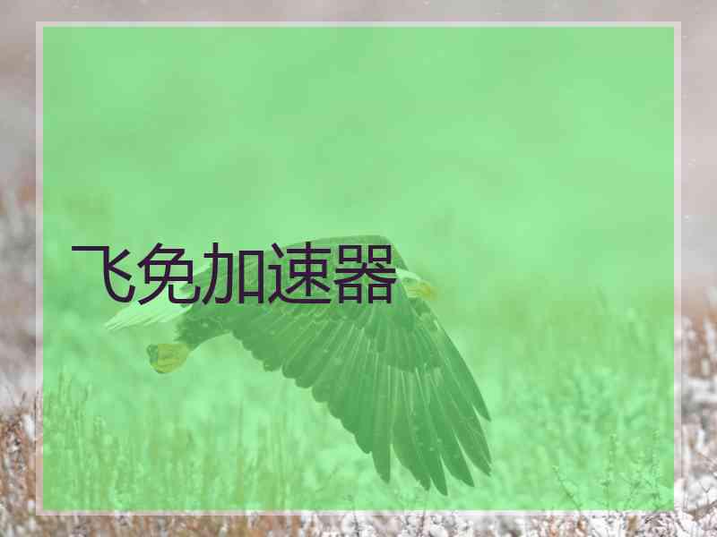 飞免加速器