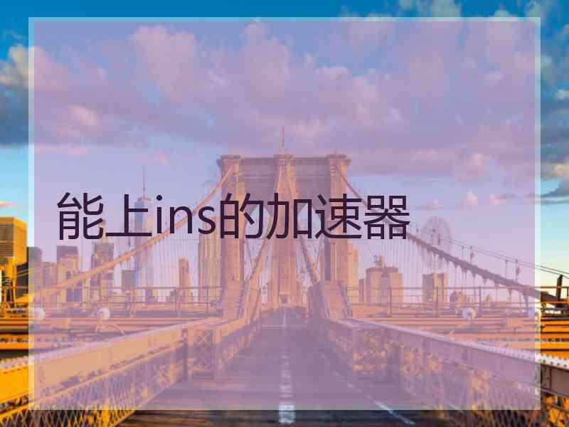 能上ins的加速器