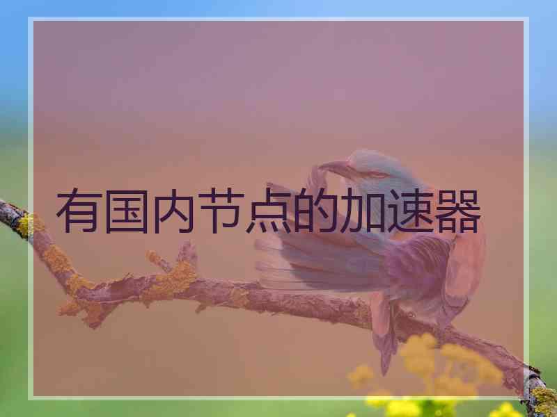 有国内节点的加速器