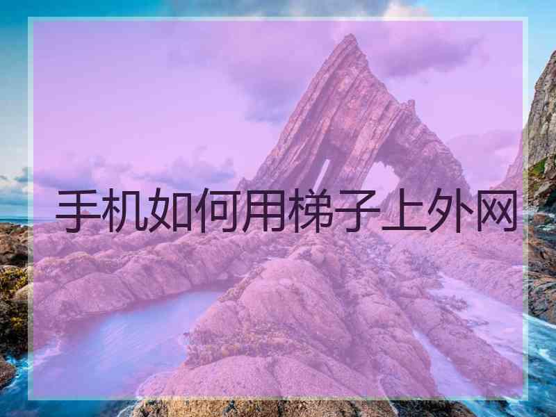 手机如何用梯子上外网