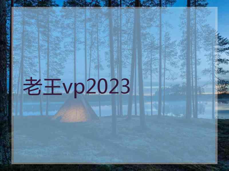 老王vp2023