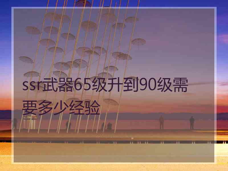 ssr武器65级升到90级需要多少经验