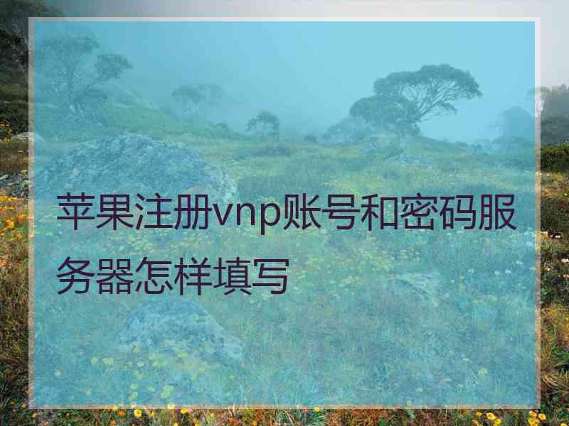 苹果注册vnp账号和密码服务器怎样填写