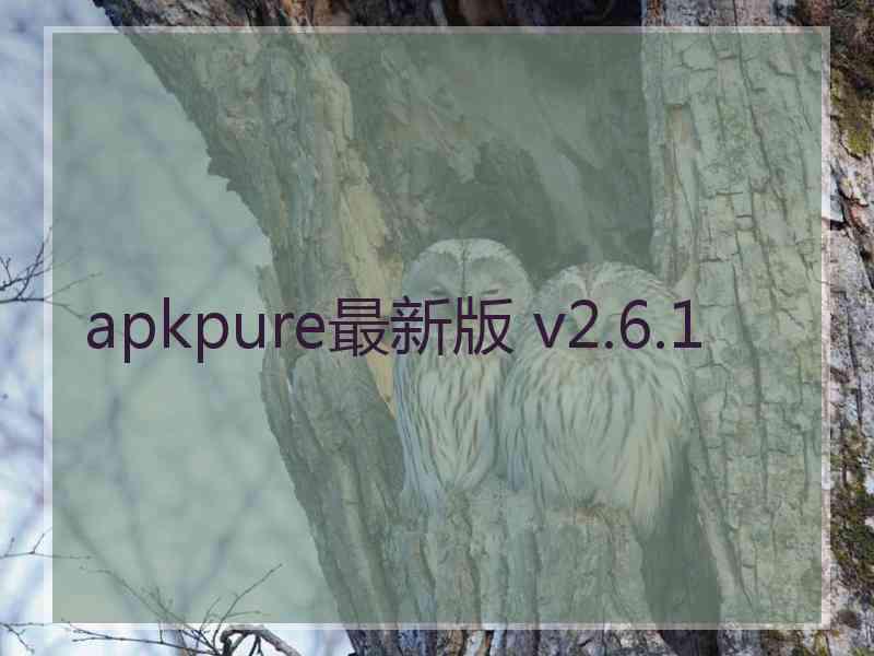 apkpure最新版 v2.6.1