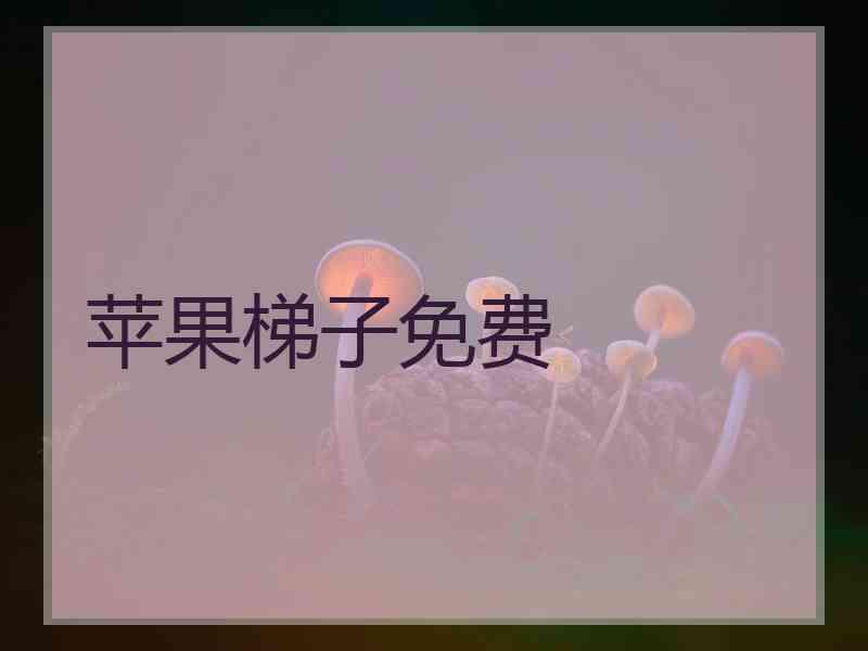 苹果梯子免费
