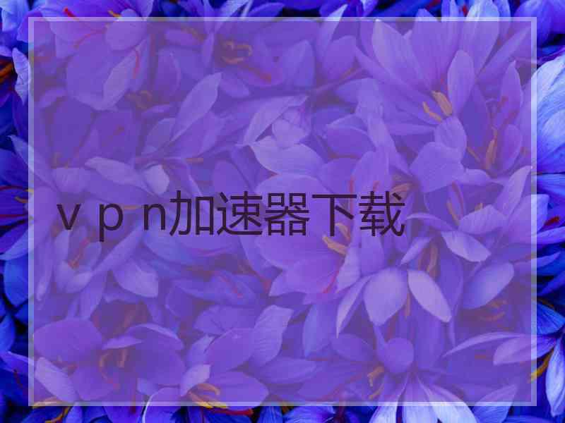 v p n加速器下载