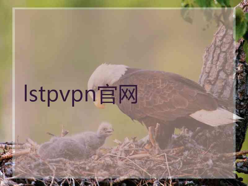 lstpvpn官网