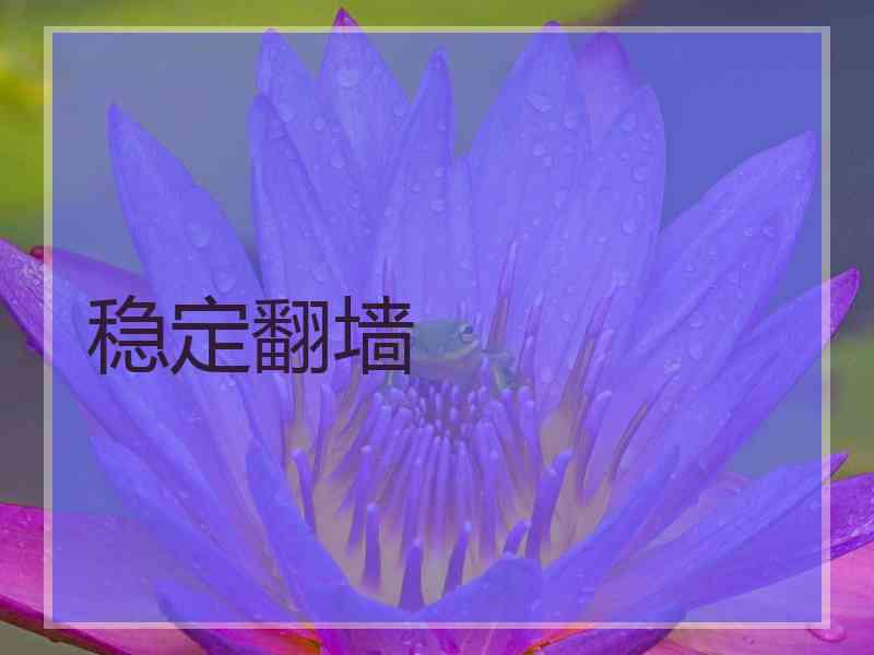 稳定翻墙