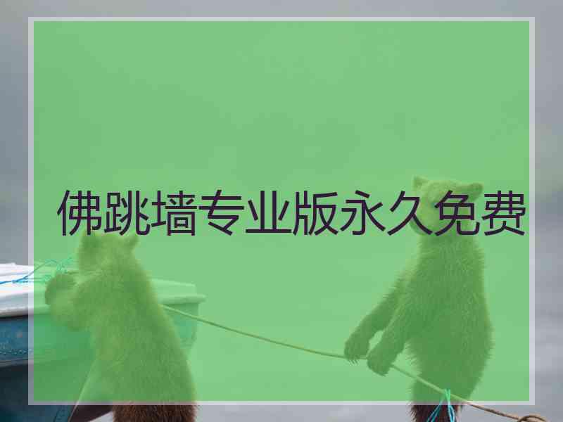 佛跳墙专业版永久免费